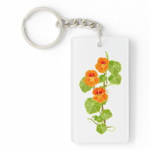 Nasturtium