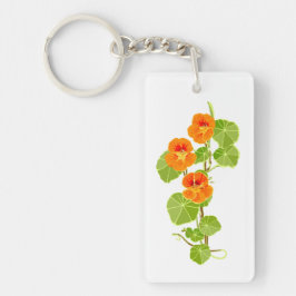 Nasturtium