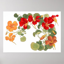 Nasturtium-blomma, Japansk ukiyo e-konst Poster