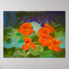 Nasturtium Bloom - Botanical Pastel Poster