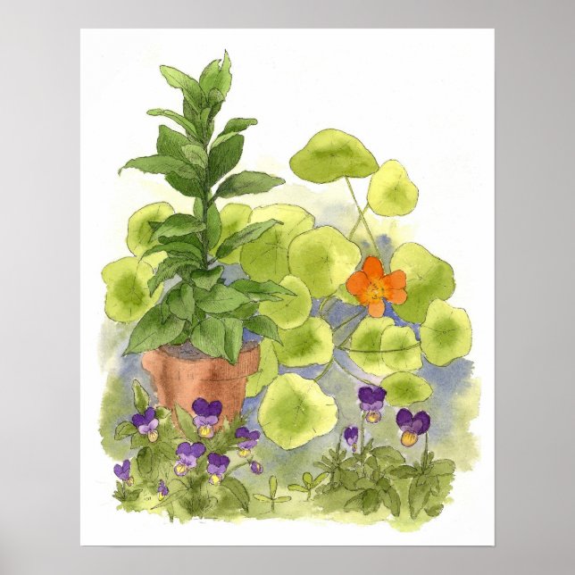 Nasturtium Flower Bay Träd Örter Watercolor Art Poster (Framsidan)