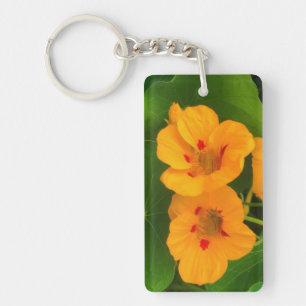 Nasturtium Flowers