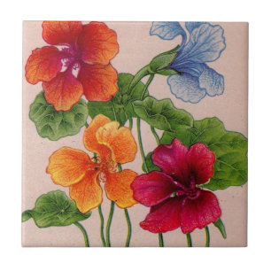 nasturtium kakelplatta