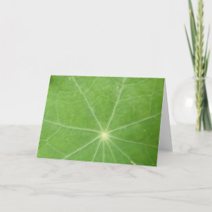 Nasturtium Löv-gratulationskort Kort
