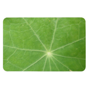 Nasturtium Löv Premium Magnet