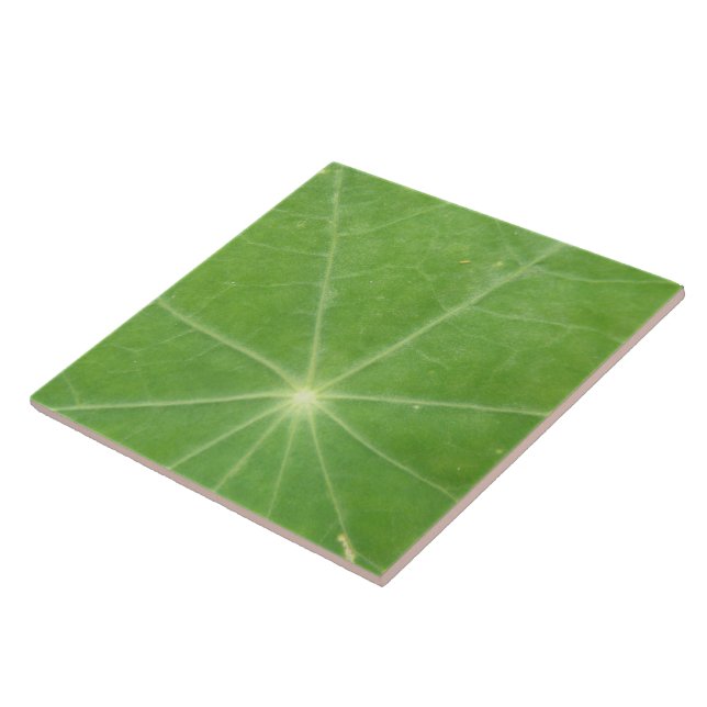 Nasturtium Löv Tile Kakelplatta (Sidan)