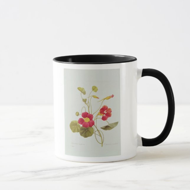 Nasturtium Mugg (Höger)