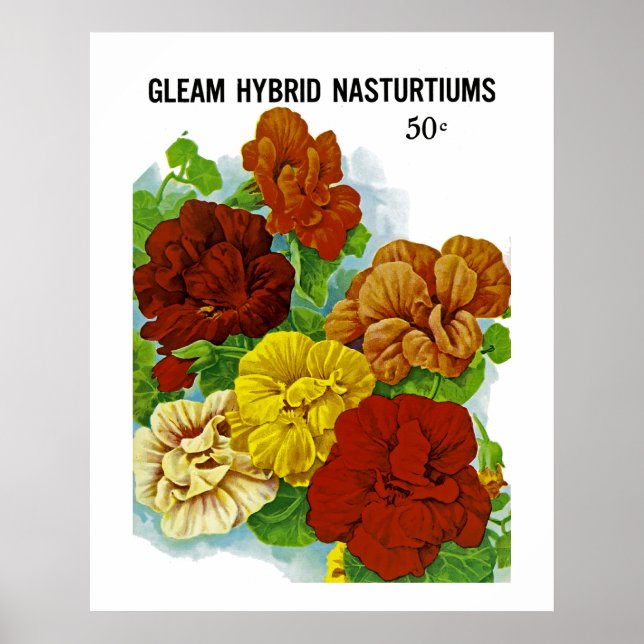 Nasturtium Poster (Framsidan)