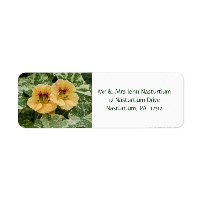 Nasturtium Return-adressetikett Returadress Etikett (Framsidan)