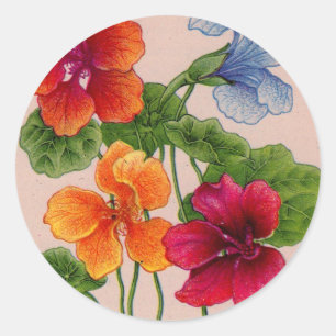 nasturtium runt klistermärke