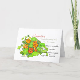 Nasturtium tomt kort