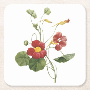 Nasturtium(Tropaeolum majus) från Redouté Underlägg Papper Kvadrat