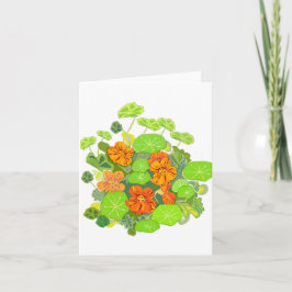 Nasturtiums Blank Notecard Tack Kort