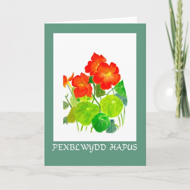 Nasturtiums Födelsedagskort: Walesiskt hälsning Kort (Framsida)