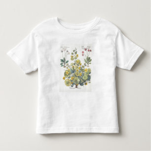 Nasturtiums och daisy: 1.Nasturtium Indicum; 2.B Tee Shirt