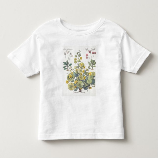Nasturtiums och daisy: 1.Nasturtium Indicum; 2.B Tee Shirt (Framsida)