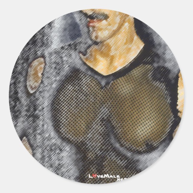 nät runt klistermärke (Framsida)