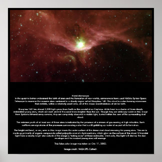 Natal Microcosm Poster