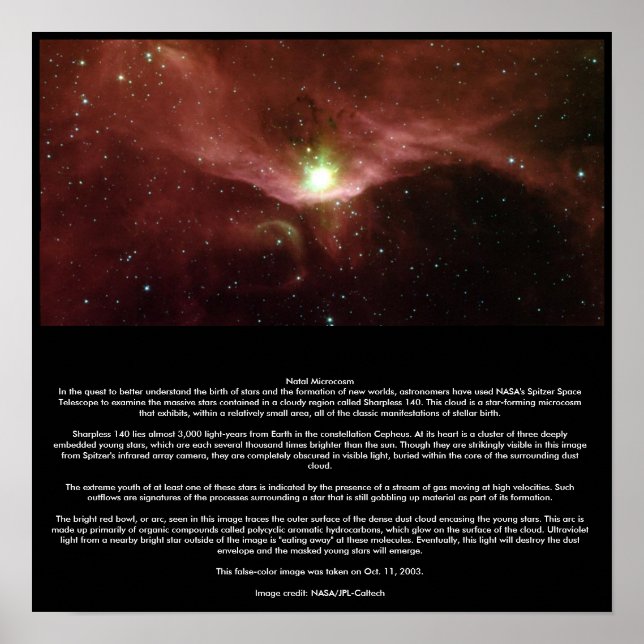 Natal Microcosm Poster (Framsidan)