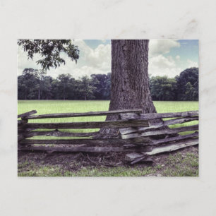 Natchez Split Rail Fence Vykort