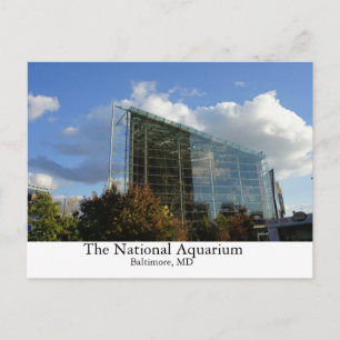 National Aquarium Vykort