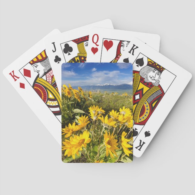 National Bison Range Casinokort (Baksidan)
