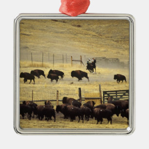 National Bison Range Roundup i Montana Julgransprydnad Metall