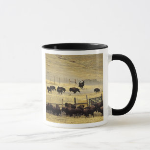National Bison Range Roundup i Montana Mugg