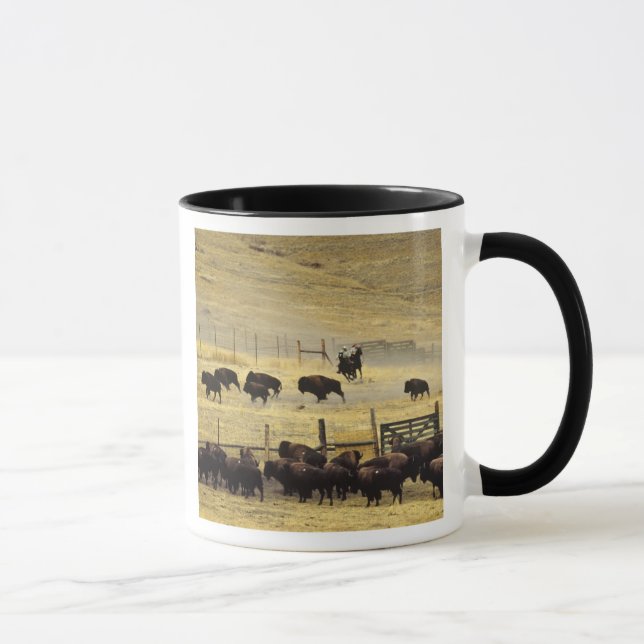 National Bison Range Roundup i Montana Mugg (Höger)