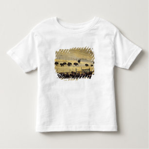 National Bison Range Roundup i Montana T Shirt