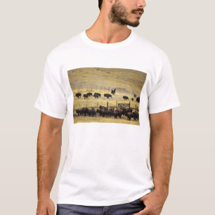 National Bison Range Roundup i Montana Tee Shirt