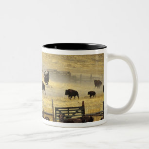 National Bison Range Roundup i Montana Två-Tonad Mugg