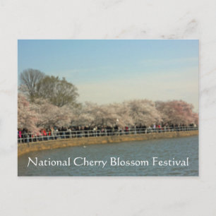National Cherry Blommar Festival Washington DC 003 Vykort