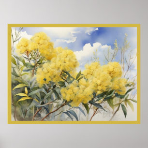 National Flower Australien Golden Wattle Poster