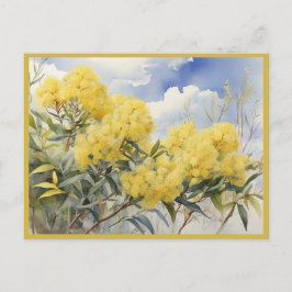 National Flower Australien Golden Wattle | Vykort