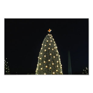 National Julafton Träd & Washington Monument i nat Fototryck