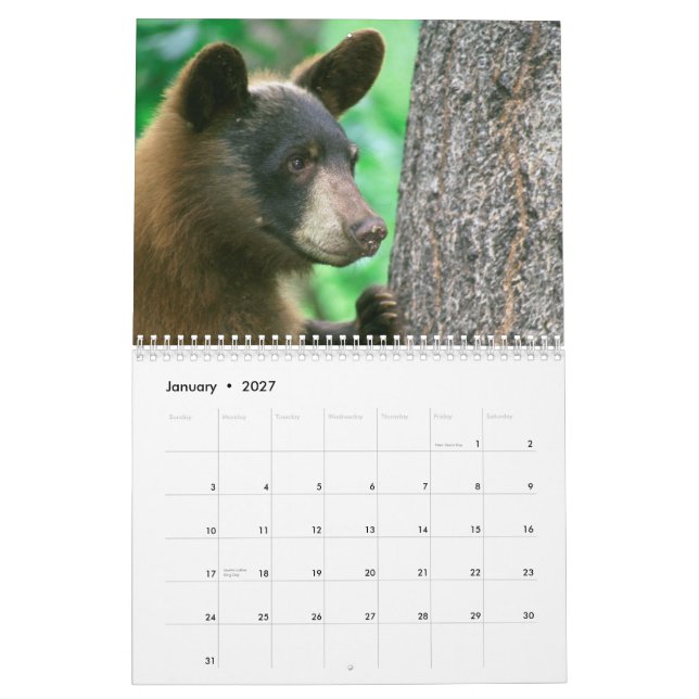 National Parker Wildlife Photographic Calendar Kalender (Jan 2027)