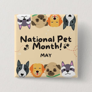 National Pet Month Knapp