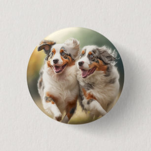 Nationaldagen Australian shepherd, Aussie Hund Knapp