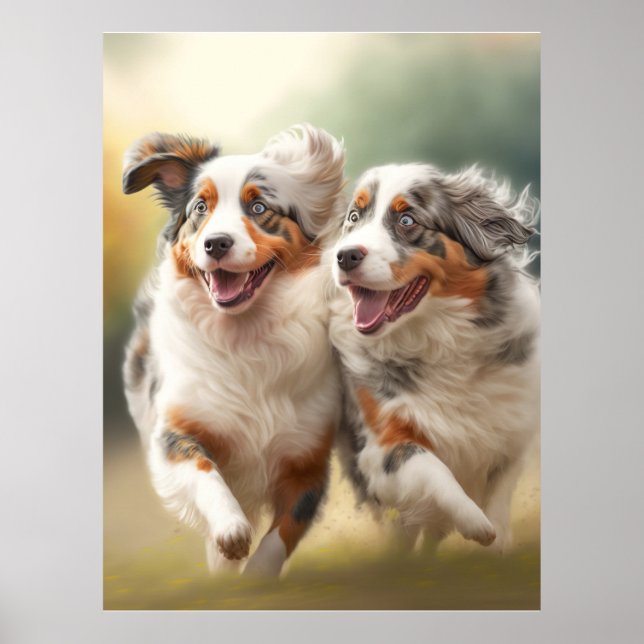Nationaldagen Australian shepherd, Aussie Hund Poster (Framsidan)