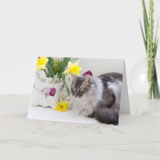 Nationaldagen för lycklig i Syskon! Kort