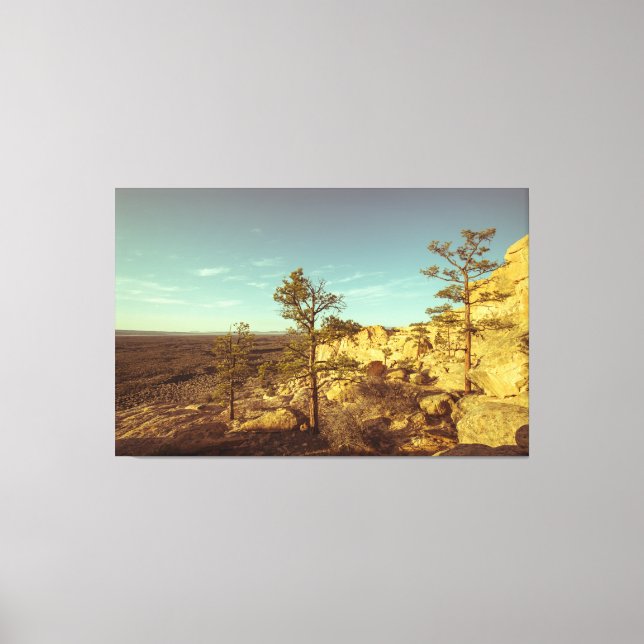 Nationalmonumentet El Malpais Canvastryck (Framsida)