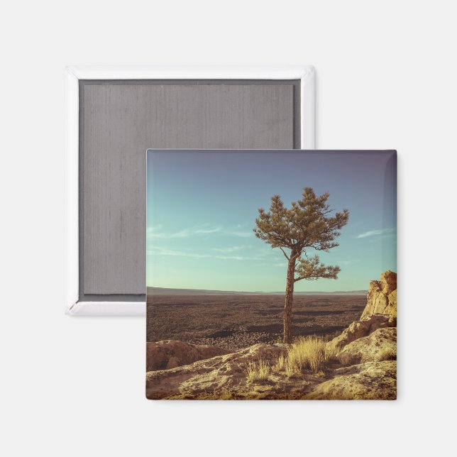 Nationalmonumentet El Malpais Magnet (Front/Back)