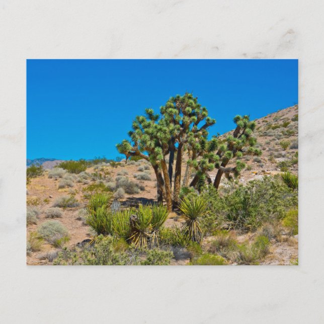 Nationalmonumentet guld Butte Vykort (Framsida)