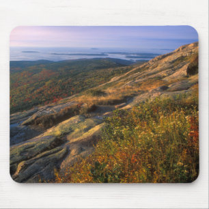 Nationalpark för Cadillac bergAcadia Musmatta