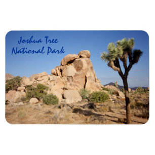 Nationalpark för Joshua träd Magnet
