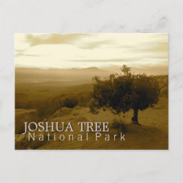 Nationalpark för Joshua träd Vykort
