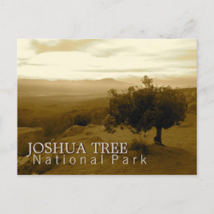 Nationalpark för Joshua träd Vykort