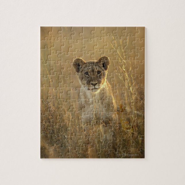 Nationalpark för lejon unge | Hwange, Zimbabwe Pussel (Vertikal)