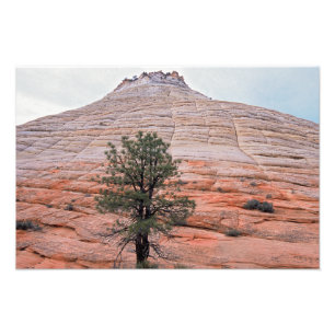 Nationalpark för schackbrädeMesa Zion Fototryck